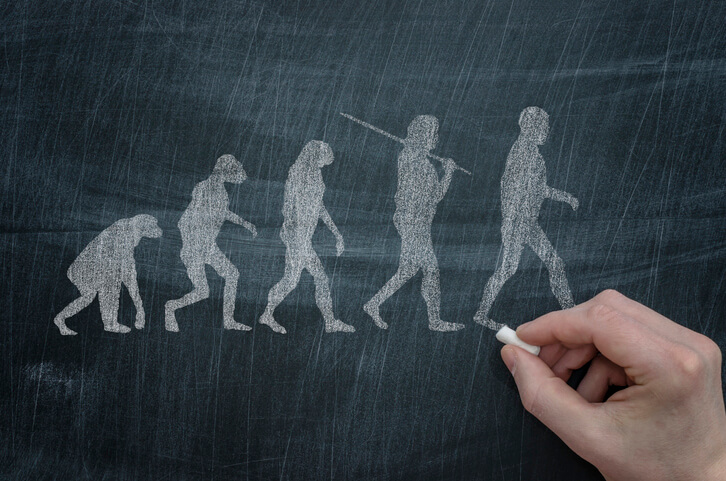 darwins theory evolution