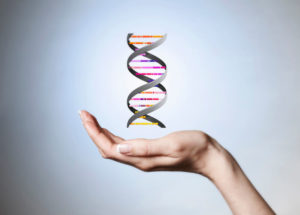DNA Full Form: Guide for Beginners to Understand What it Is