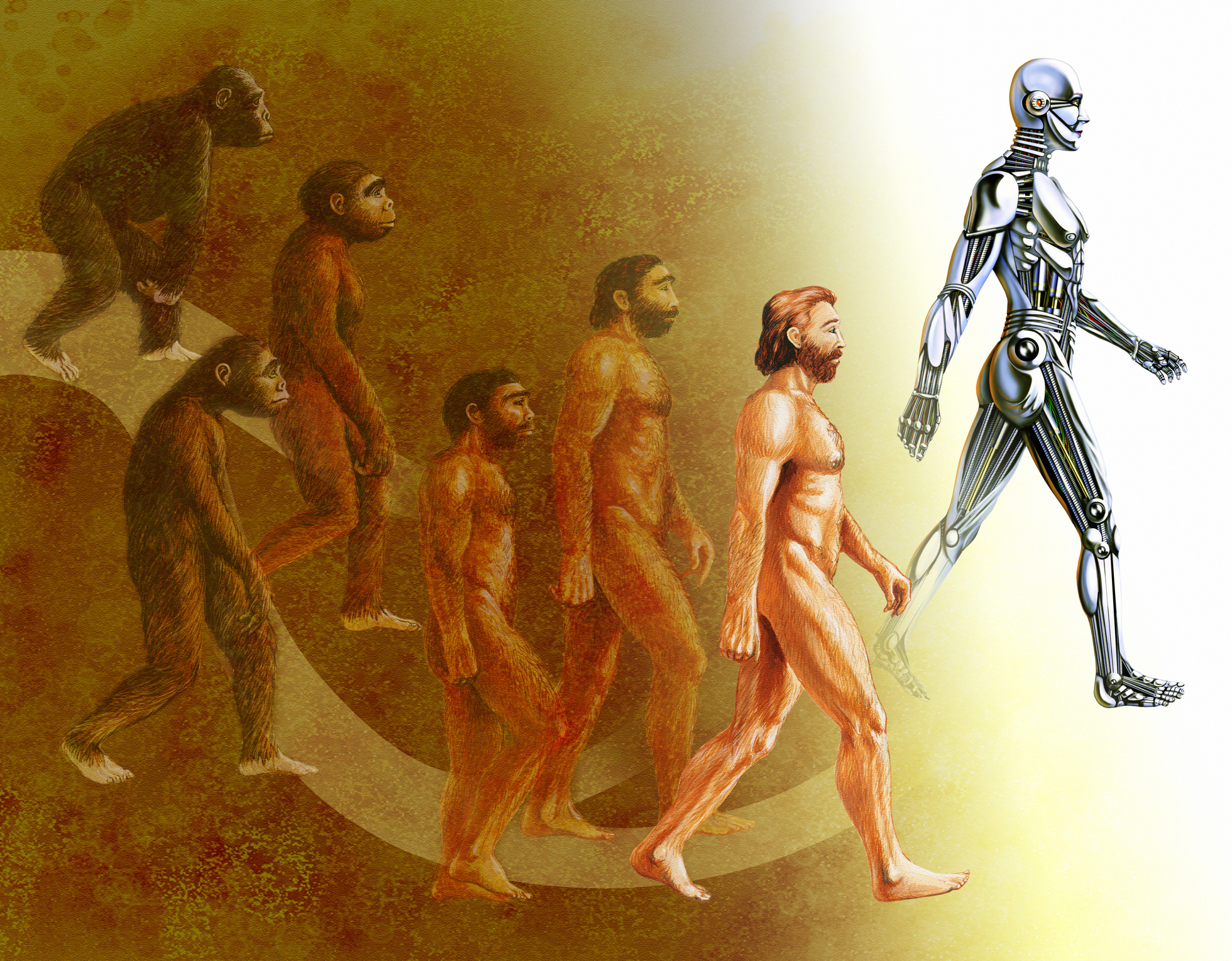 New Human Evidence of Evolution & Darwin's Theory [In 5 Easy Points]