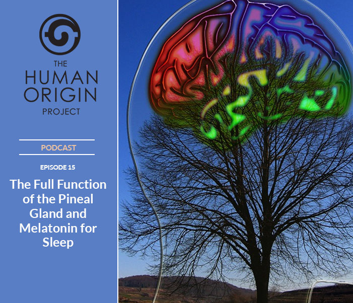 EP-15-The-Full-Function-of-the-Pineal-Gland-and-Melatonin-for-Sleep
