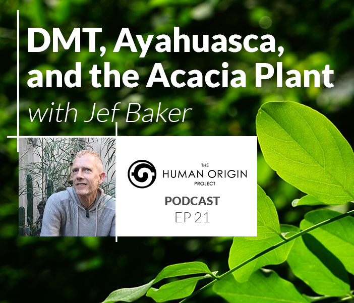 DMT, Ayahuasca, and the Acacia Plant w: Jef Baker